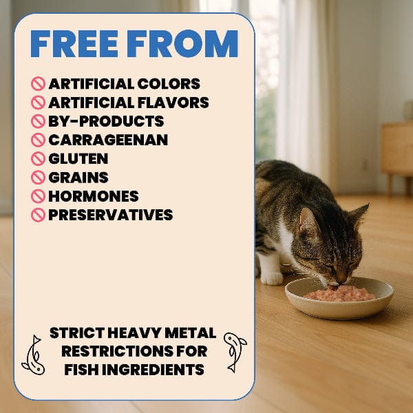 Almo Nature Complete HQS | Chicken with Turkey in Gravy Canned Cat Food - Image 4