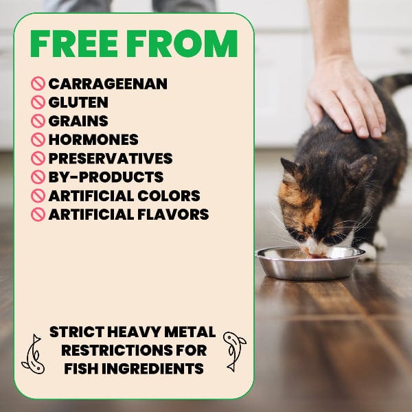 Almo Nature Natural HQS | Tuna in Broth Atlantic Style Canned Cat Food - Image 4