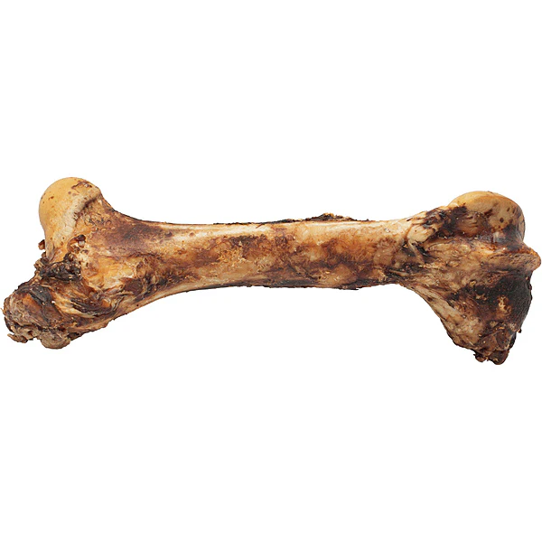 ASADO Monster Beef Bone - Image 2