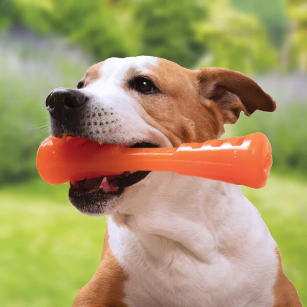 BIONIC Urban Stick Dog Toy - Image 6