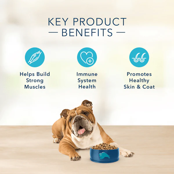 BLUE Basics Skin & Stomach Care Grain-Free Salmon & Potato Recipe Dry Dog Food, 22lb - Image 5