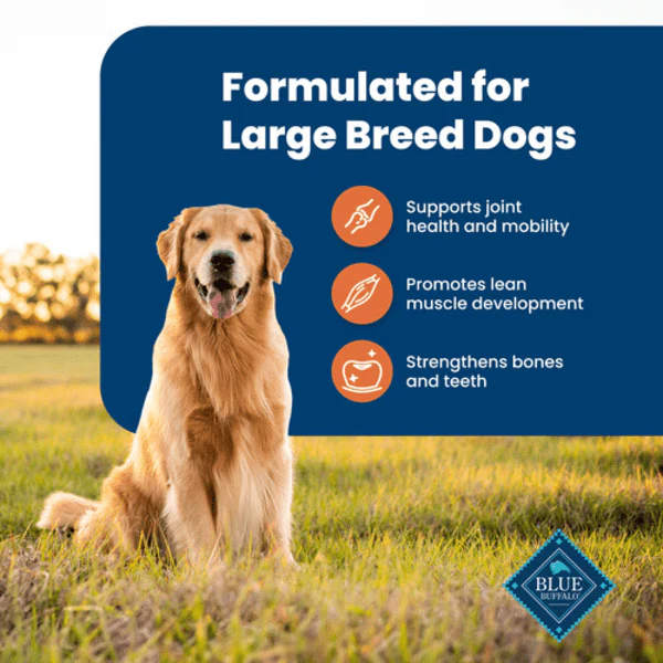 BLUE Life Protection Formula Large Breed Chicken & Brown Rice Recipe Dry Dog Food, 26lb - Image 2