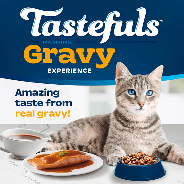 BLUE Tastefuls Gravy Chicken & Brown Rice Recipe Dry Cat Food, 7lb - Image 4