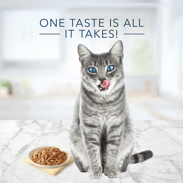 BLUE Tastefuls Salmon Entree Pate Canned Cat Food, 5.5oz - Image 5
