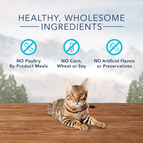BLUE Wilderness Grain Free Crunchy Cat Treats; Tasty Salmon Flavor - Image 3