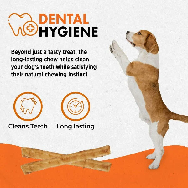 Canine Naturals Hide Free Chicken Sticks Dog Chew - Image 5