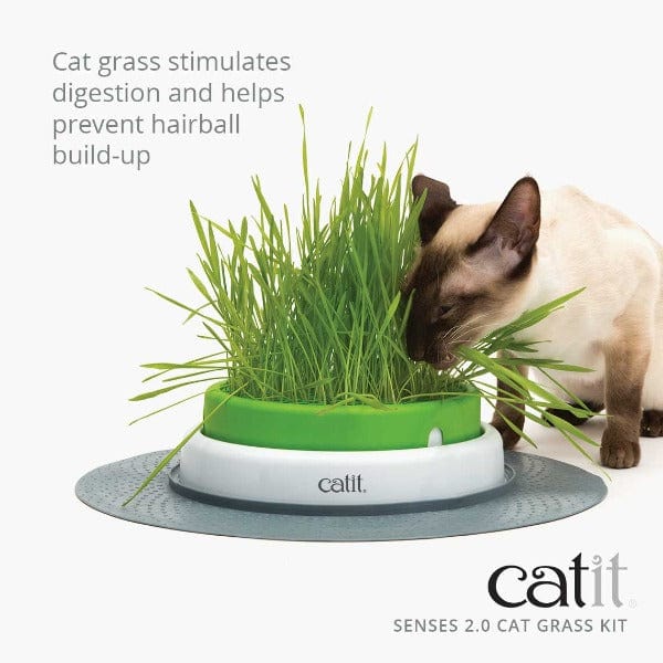 Catit Senses 2.0 Cat Grass Kit - Image 2