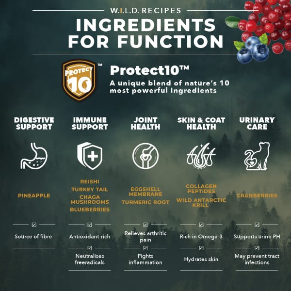 CHARM Free-Run Chicken Dry Cat Food - Image 3