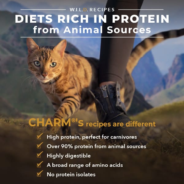 CHARM Free-Run Chicken Dry Cat Food - Image 7