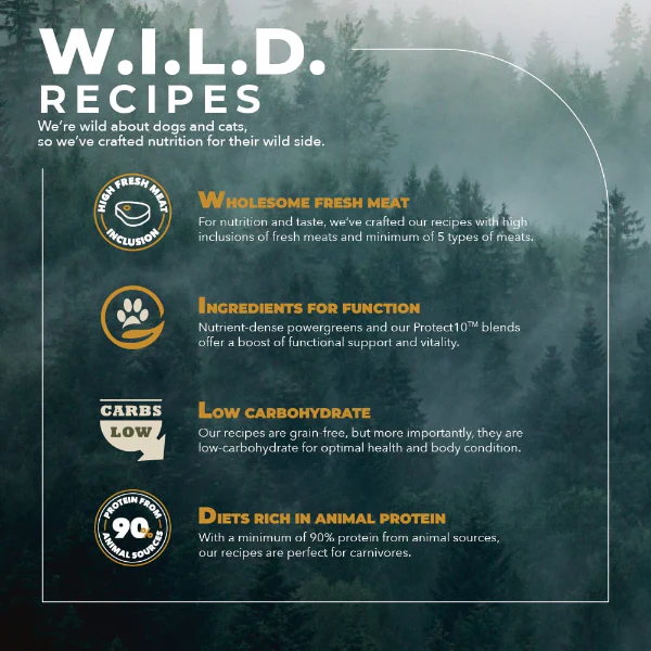CHARM Grass-Fed Lamb Dry Cat Food - Image 2