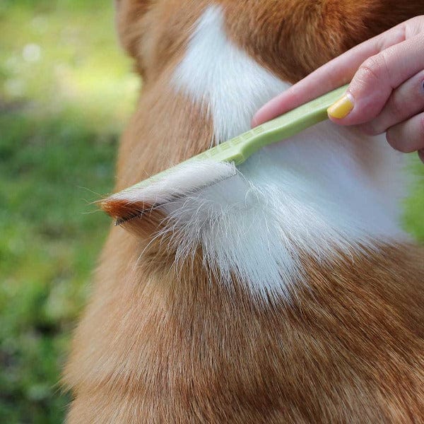 Safari Dog Double Row Flea Comb - Image 4