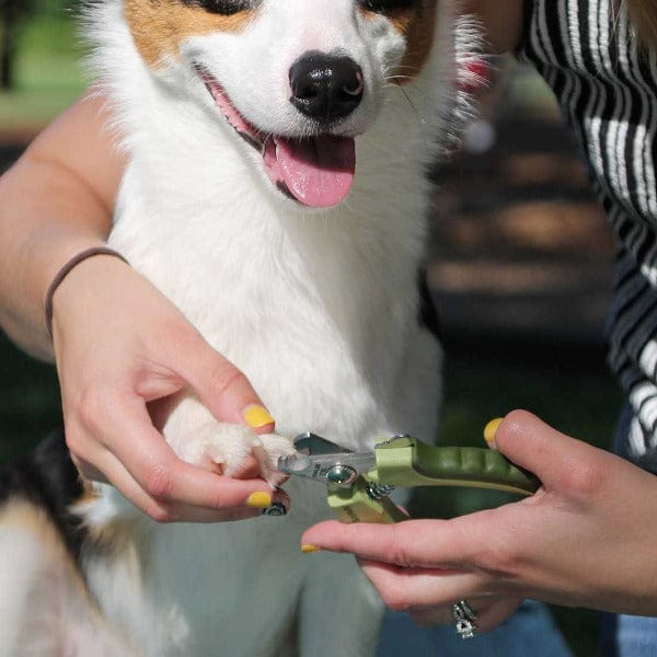 Safari Professional Dog Nail Trimmer - Image 5