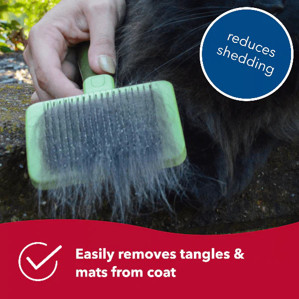 Safari Cat Self-Cleaning Slicker Brush - Image 7