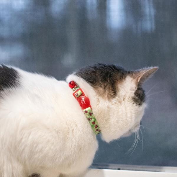 Coastal Safe Cat Fashion Adjustable Breakaway Collar - Image 3