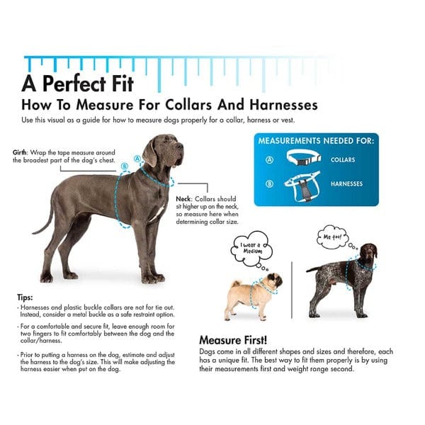 Sublime Adjustable Dog Collar - Image 4