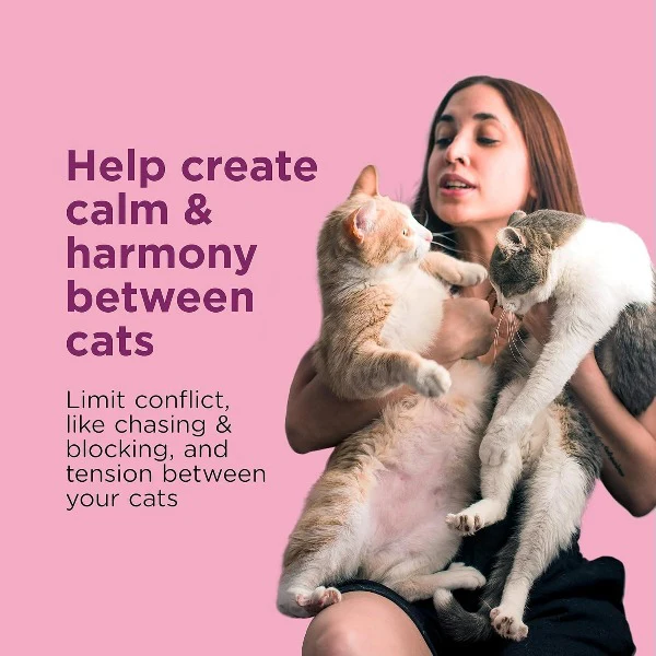 Comfort Zone Multi-Cat Diffuser Kit - Image 2