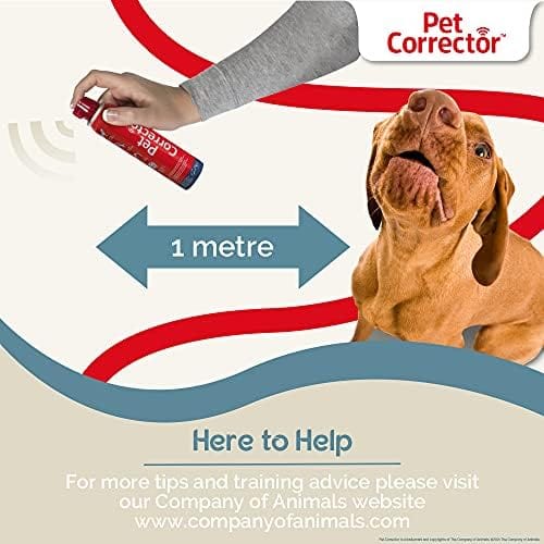 Company Of Animals Pet Corrector Training Tool - Image 4