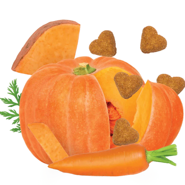 Darford Grain Free Pumpkin Recipe Oven-Baked Dog Treats - Image 3