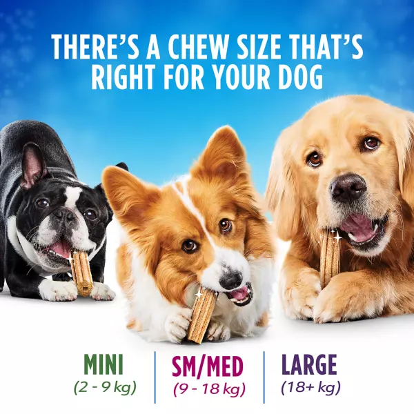 DentaLife Daily Oral Care Dog Treats - Image 4