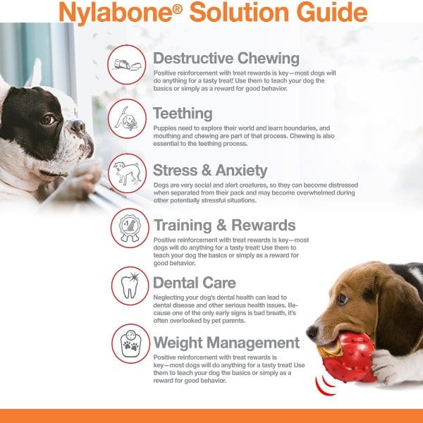 Nylabone Durachew Big Chew; Beef Bone Original - Image 5