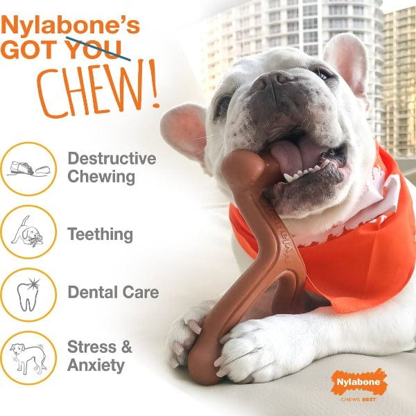 Nylabone Power Chew Textured Ring Bone Dog Chew Toy - Image 3