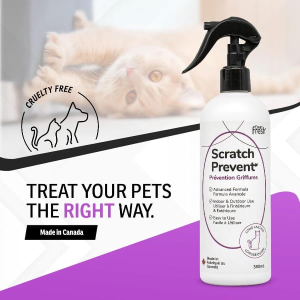 Enviro Fresh Scratch Prevent for Cats - Image 2