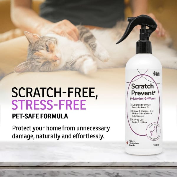 Enviro Fresh Scratch Prevent for Cats - Image 5