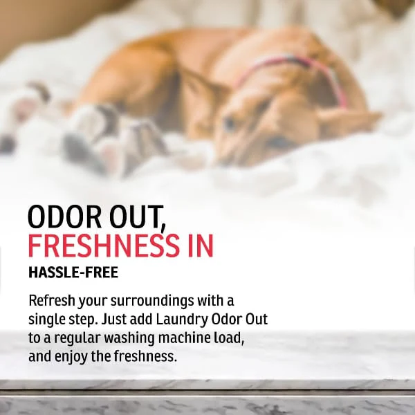 Enviro Fresh Laundry Odor Out Unscented Washing Machine Additive - Image 5