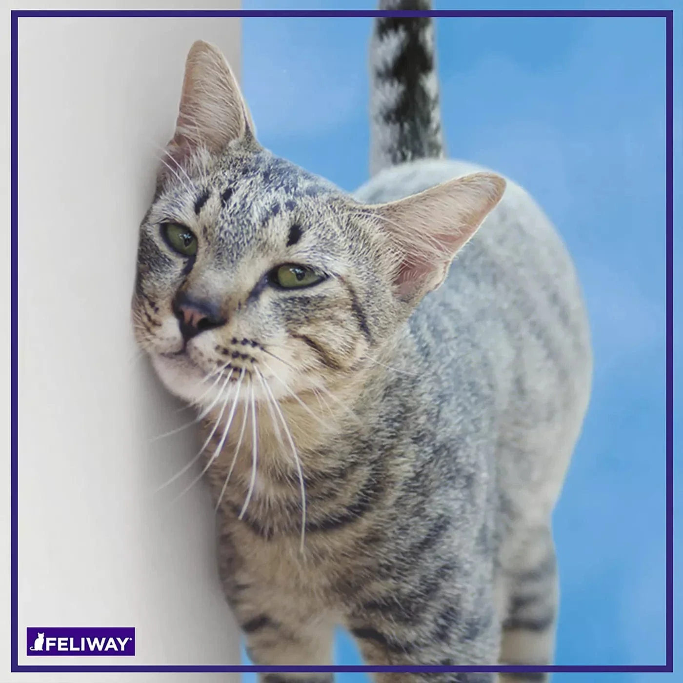 FELIWAY CLASSIC Diffuser Kit for Cats - Image 7