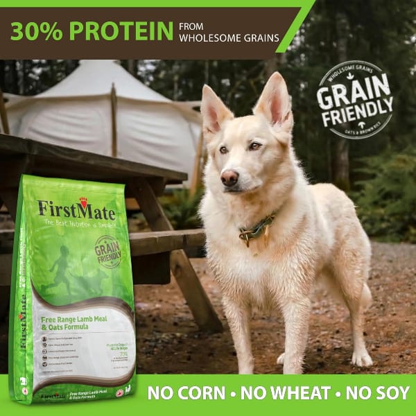 FirstMate Grain Friendly Free Range Lamb & Oats Dry Dog Food - Image 5