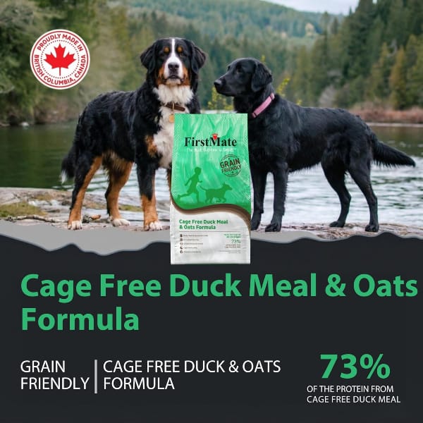 FirstMate Grain Friendly Cage Free Duck & Oats Dry Dog Food, 5lb - Image 2
