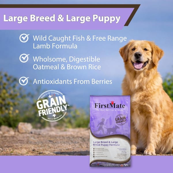 FirstMate Grain Friendly Large Breed & Large Breed Puppy Dry Dog Food, 25lb - Image 3