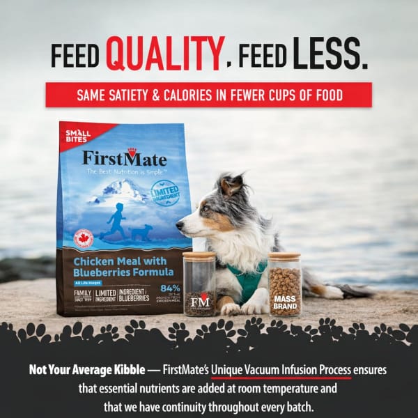 FirstMate Limited Ingredient Chicken Meal with Blueberries Formula Small Bites Dry Dog Food, 4lb - Image 4
