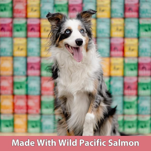 FirstMate Limited Ingredient – Wild Salmon Formula Canned Dog Food - Image 4