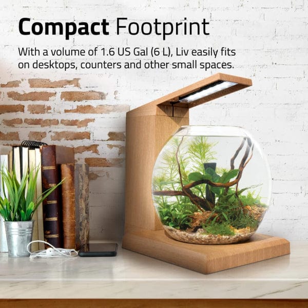Fluval Liv Microscaping Aquarium Kit, 1.6 US Gal / 6 L, Teak - Image 7