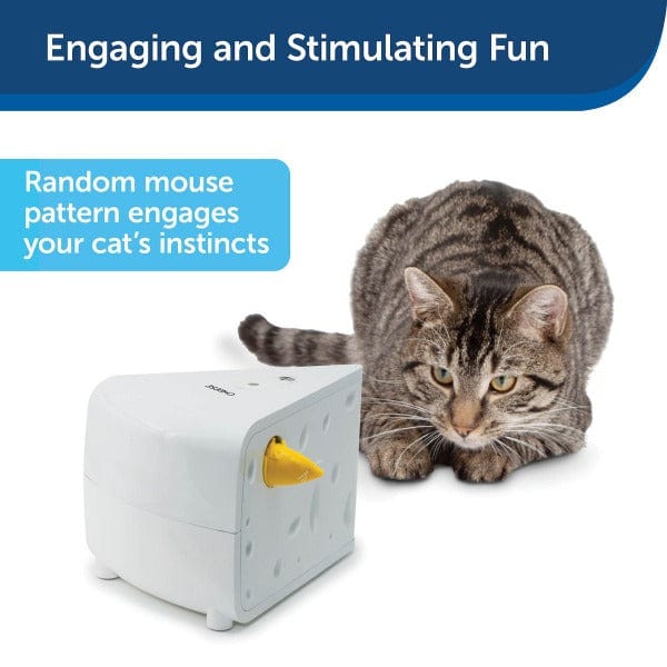PetSafe FroliCat Cheese Automatic Cat Toy - Image 3