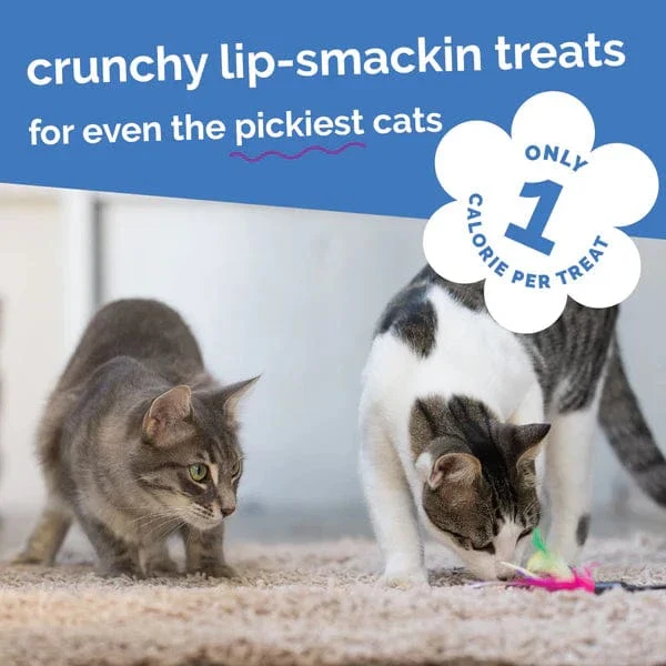 Fruitables Chicken Blueberry Cat Treats - Image 6
