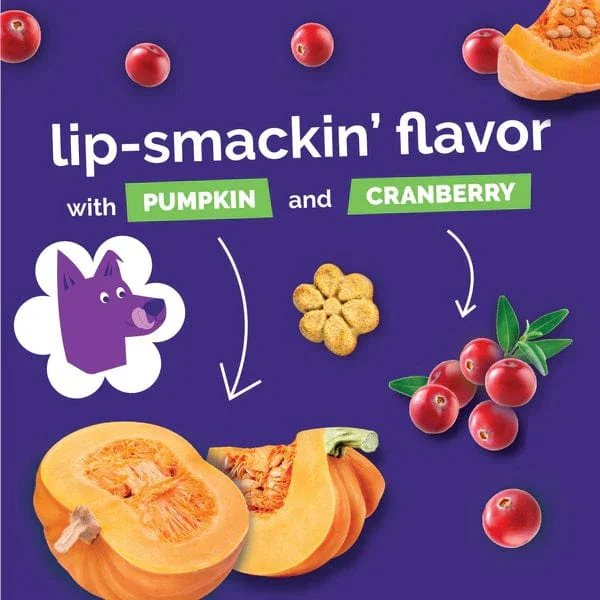 Fruitables Baked Pumpkin & Cranberry Dog Treats - Image 7