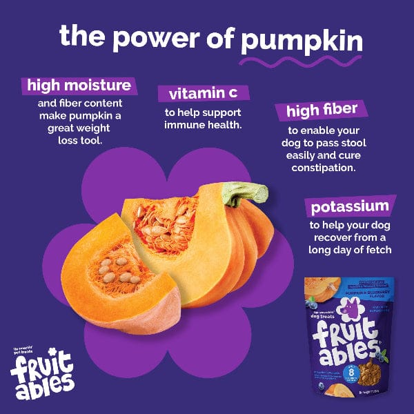 Fruitables Baked Pumpkin & Blueberry Dog Treats - Image 9