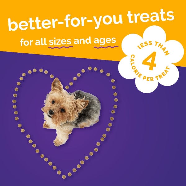 Fruitables Skinny Minis Pumpkin & Mango Flavor Dog Treats - Image 7