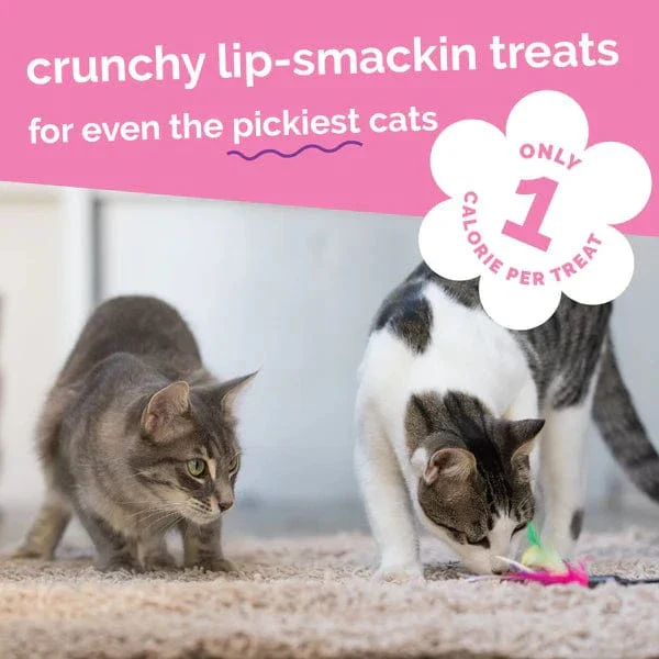 Fruitables Tuna Pumpkin Cat Treats - Image 6