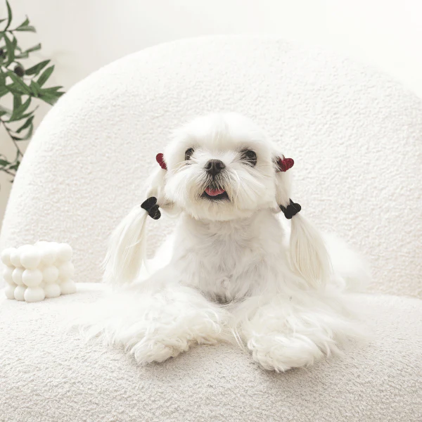 M-PETS GLAM Hair Accessories for Pets | Heart Shape Clip - Image 3