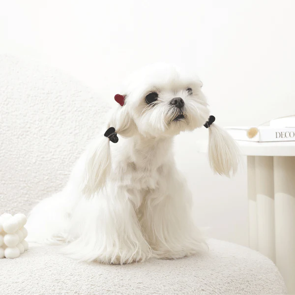 M-PETS GLAM Hair Accessories for Pets | Heart Shape Clip - Image 4