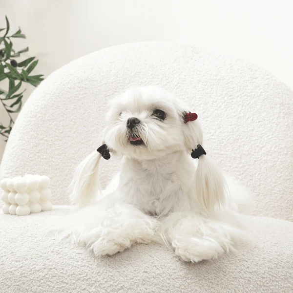 M-PETS GLAM Hair Accessories for Pets | Heart Shape Clip - Image 5
