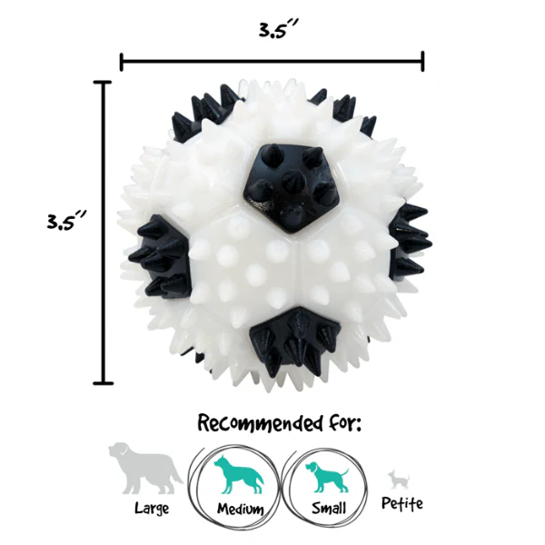 Gnawsome Squeaker Soccer Ball - Image 3