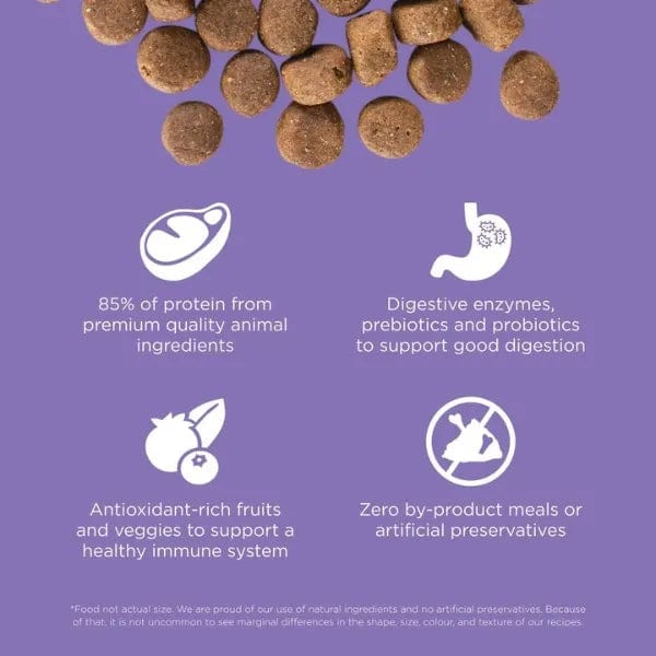 Go! Solutions Carnivore Grain-Free Chicken, Turkey & Duck Senior Recipe Dry Dog Food, 22lb - Image 2