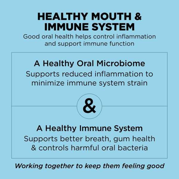 Go! Solutions Dental + Immune Health, Chicken + Salmon Recipe with Grains Dry Dog Food - Image 5