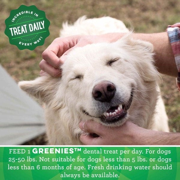 Greenies Fresh Regular Adult Dog Dental Treats, 12oz - Image 3