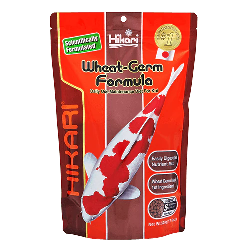 Hikari Koi Wheat Germ Floating Pellet