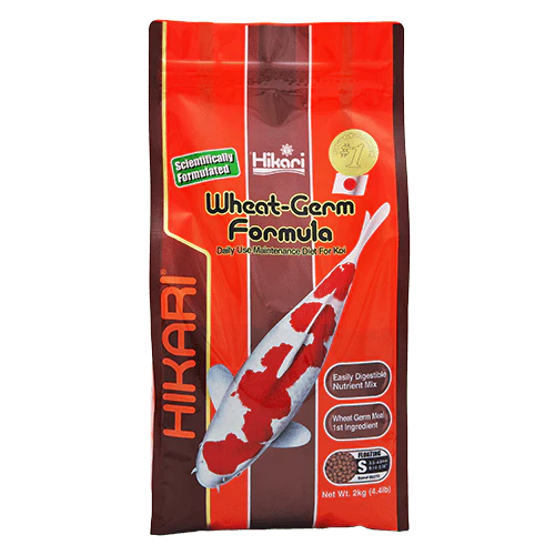 Hikari Koi Wheat Germ Floating Pellet - Image 2